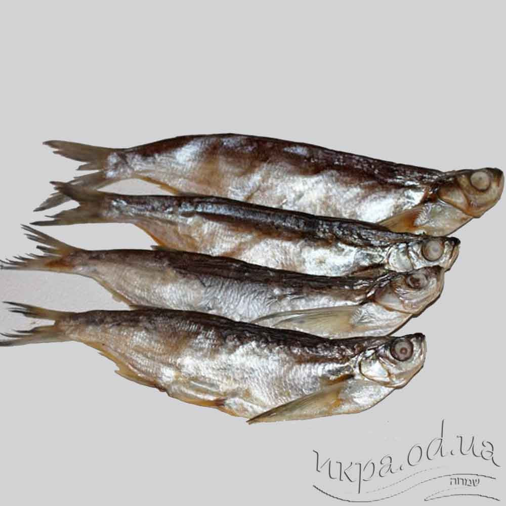 Чехонь - рыба Сабля (Калининград) вяленая рыба
