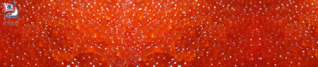 Красная лососевая икра горбуши Icicle - Айсикл Америка шоковой заморозки