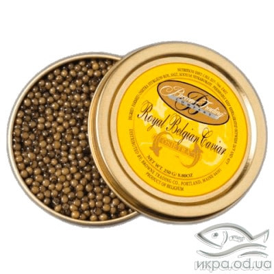 Черная осетровая икра русский осетр 100 грамм Royal Belgium Caviar - Королевская Бельгийская икра жесть банка