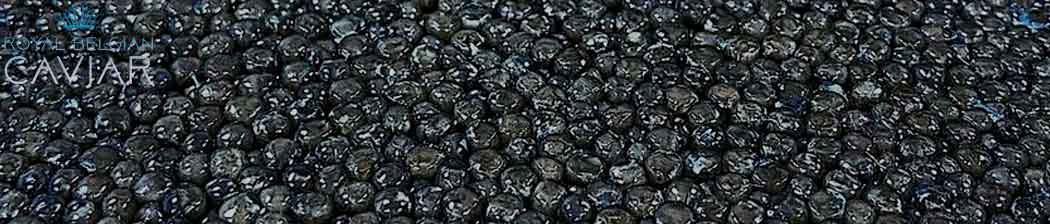 Черная осетровая икра Royal Caviar Бельгия