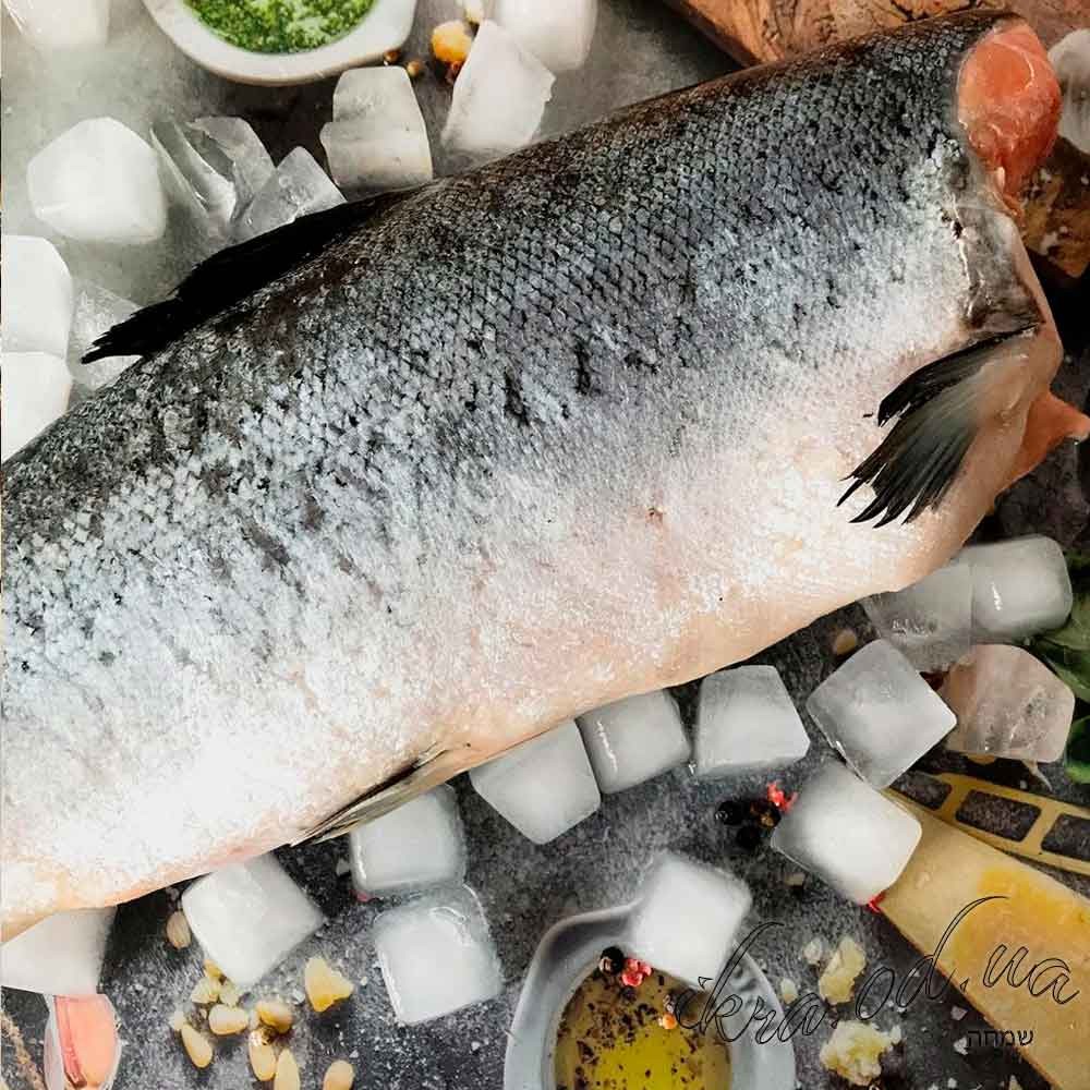 Тушка охлажденного лосося Норвегия без головы - разного размера